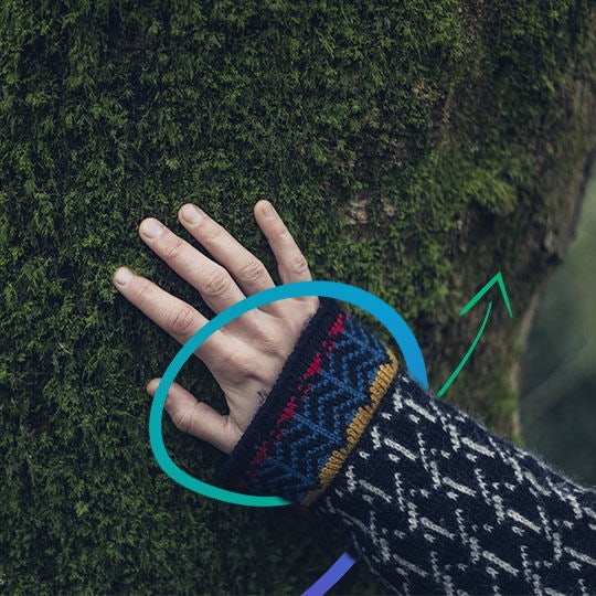 hand in a tree