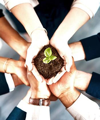 Puissant, fiable et économique hands holding a plant in soil